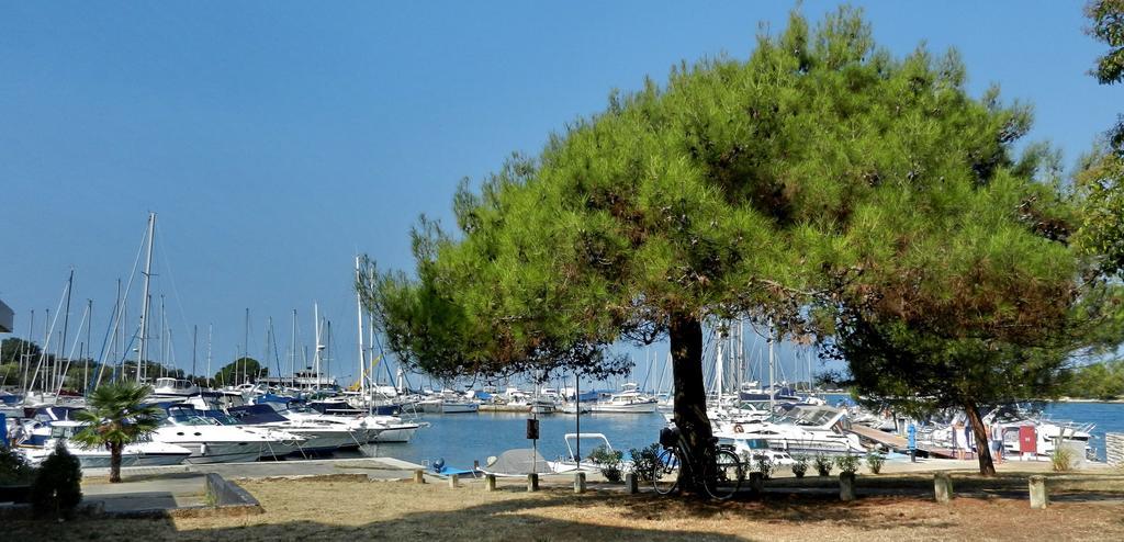 Apartment Zovko Poreč Dış mekan fotoğraf